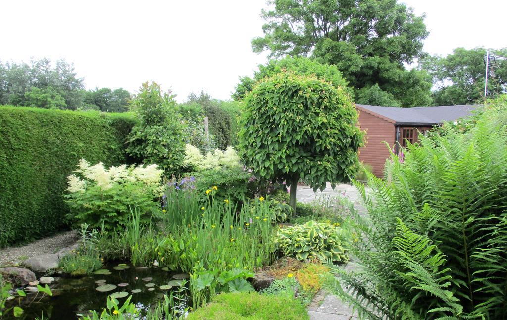 The Garden Lodge Llynclys Extérieur photo